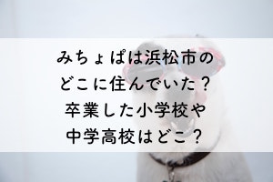 みちょぱは浜松市のどこに住んでいた 卒業した小学校や中学高校はどこ 気になったことまとめ隊