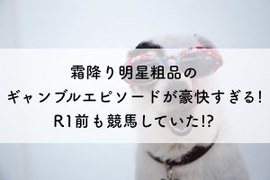 パチンコ好き芸人霜降り明星粗品は財布の13万が全財産 R1前も競馬ってギャンブル依存症 気になったことまとめ隊